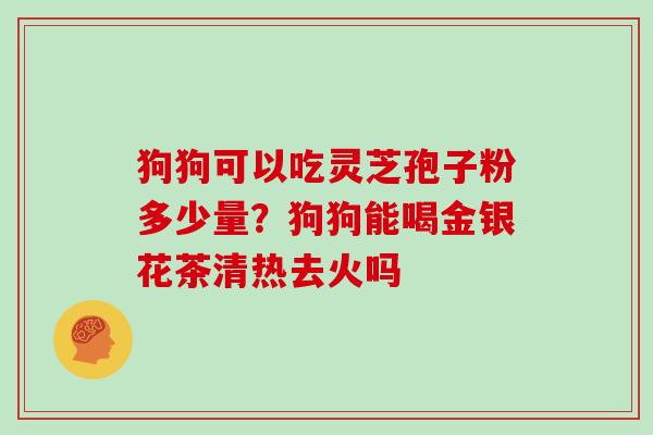 狗狗可以吃灵芝孢子粉多少量?狗狗能喝金银花茶清热去火吗