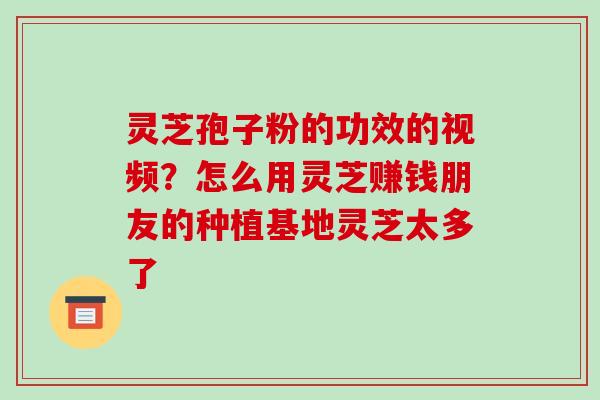 灵芝孢子粉的功效的视频?怎么用灵芝赚钱朋友的种植基地灵芝太多了