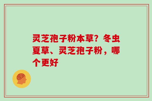 灵芝孢子粉本草？冬虫夏草、灵芝孢子粉，哪个更好