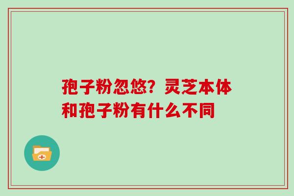 孢子粉忽悠？灵芝本体和孢子粉有什么不同