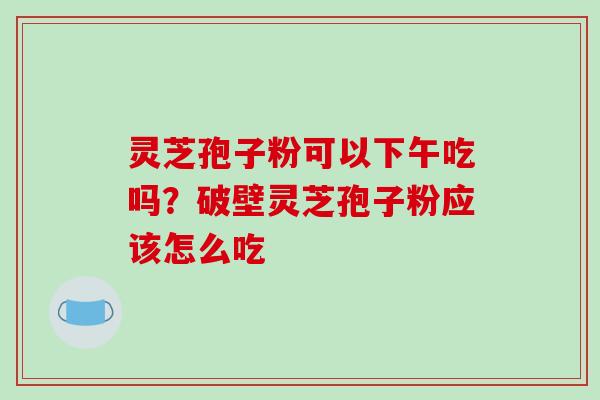 灵芝孢子粉可以下午吃吗？破壁灵芝孢子粉应该怎么吃