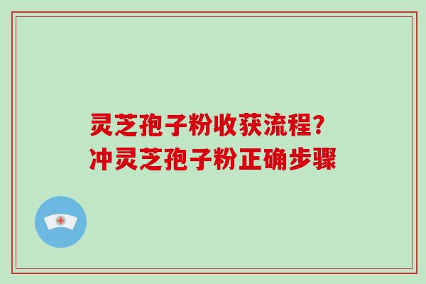 灵芝孢子粉收获流程？冲灵芝孢子粉正确步骤
