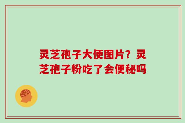 灵芝孢子大便图片?灵芝孢子粉吃了会便秘吗