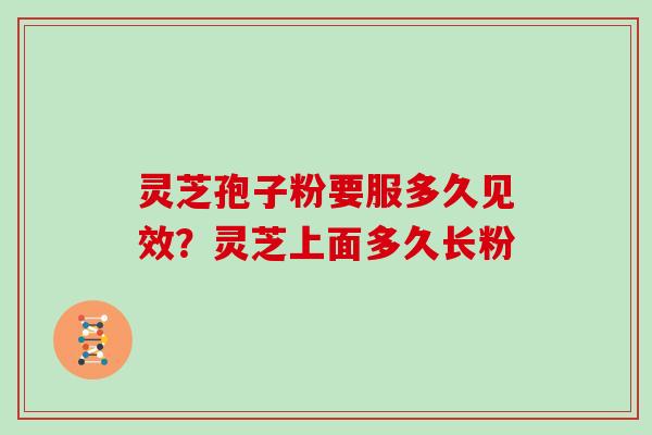 灵芝孢子粉要服多久见效？灵芝上面多久长粉