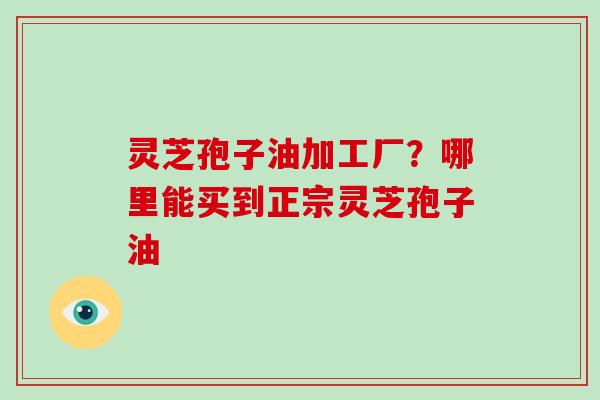灵芝孢子油加工厂?哪里能买到正宗灵芝孢子油