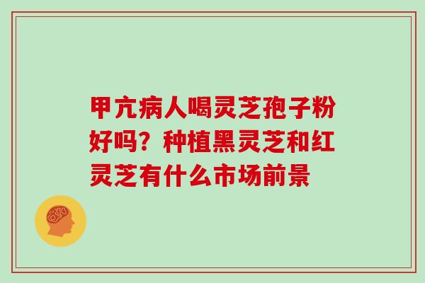甲亢病人喝灵芝孢子粉好吗?种植黑灵芝和红灵芝有什么市场前景