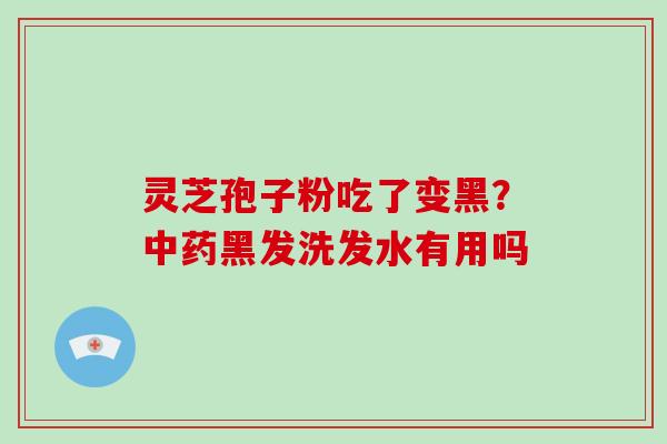 灵芝孢子粉吃了变黑？中药黑发洗发水有用吗