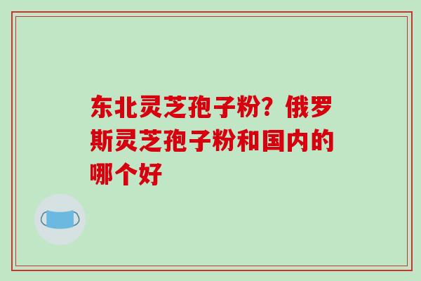 东北灵芝孢子粉?俄罗斯灵芝孢子粉和国内的哪个好