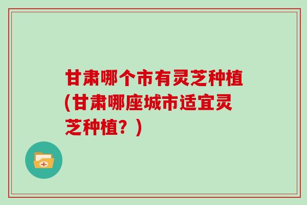 甘肃哪个市有灵芝种植(甘肃哪座城市适宜灵芝种植？)