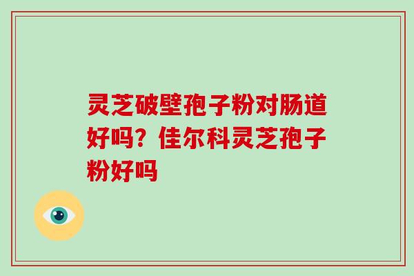 灵芝破壁孢子粉对肠道好吗？佳尔科灵芝孢子粉好吗