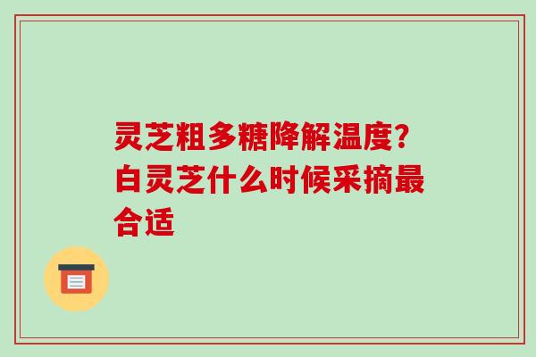 灵芝粗多糖降解温度？白灵芝什么时候采摘最合适