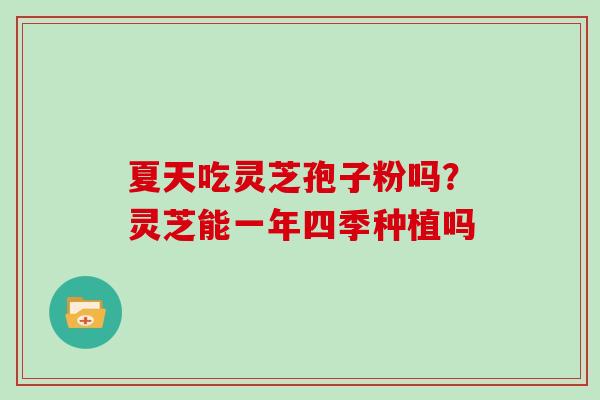 夏天吃灵芝孢子粉吗？灵芝能一年四季种植吗