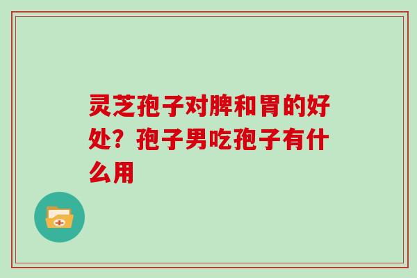 灵芝孢子对脾和胃的好处?孢子男吃孢子有什么用