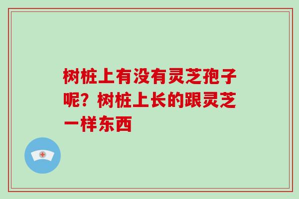 树桩上有没有灵芝孢子呢？树桩上长的跟灵芝一样东西