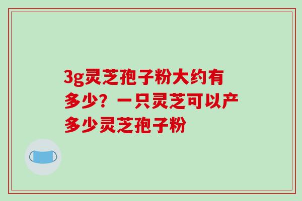 3g灵芝孢子粉大约有多少?一只灵芝可以产多少灵芝孢子粉