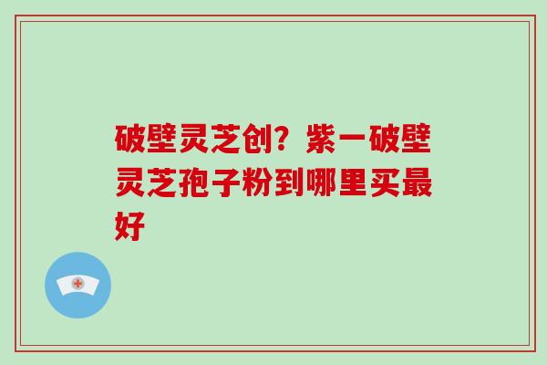 破壁灵芝创?紫一破壁灵芝孢子粉到哪里买最好