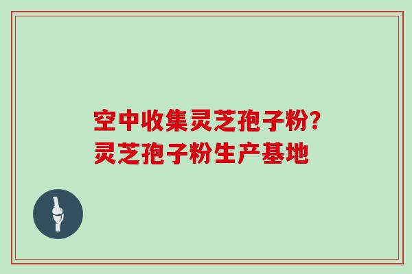 空中收集灵芝孢子粉?灵芝孢子粉生产基地