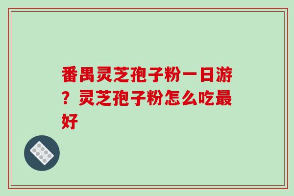 番禺灵芝孢子粉一日游？灵芝孢子粉怎么吃最好