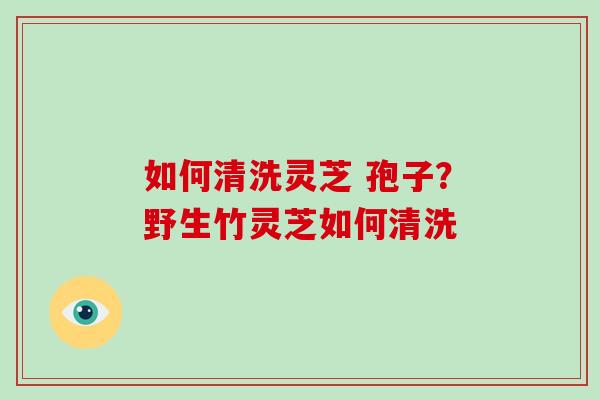 如何清洗灵芝 孢子？野生竹灵芝如何清洗
