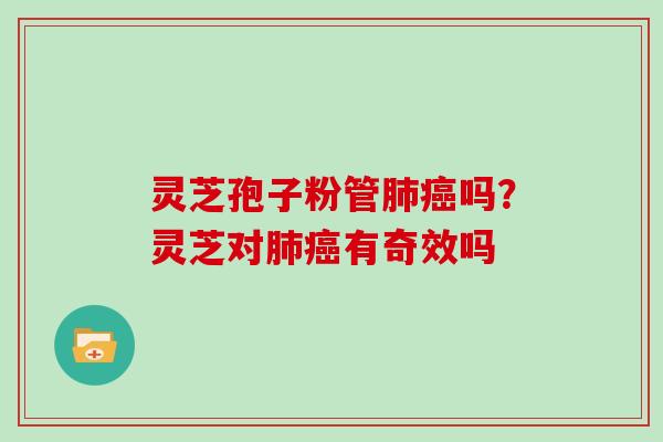 灵芝孢子粉管肺癌吗?灵芝对肺癌有奇效吗