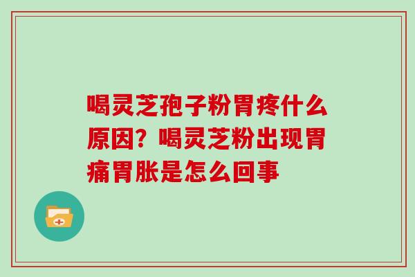喝灵芝孢子粉胃疼什么原因?喝灵芝粉出现胃痛胃胀是怎么回事