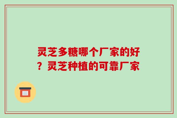 灵芝多糖哪个厂家的好？灵芝种植的可靠厂家