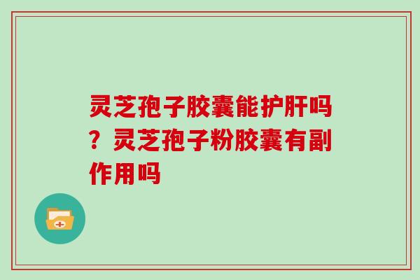 灵芝孢子胶囊能护肝吗?灵芝孢子粉胶囊有副作用吗