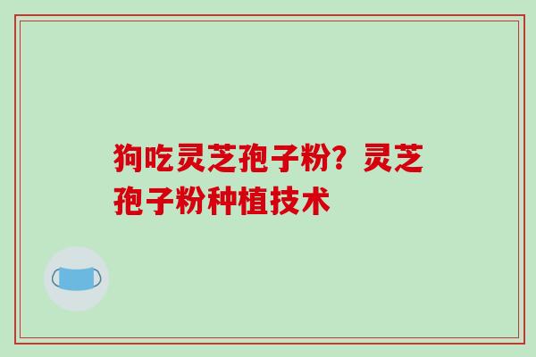狗吃灵芝孢子粉?灵芝孢子粉种植技术