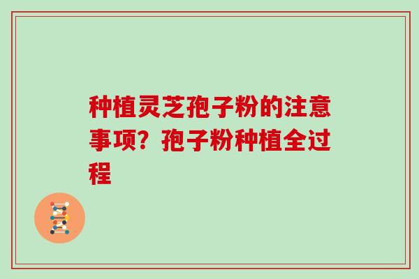 种植灵芝孢子粉的注意事项?孢子粉种植全过程