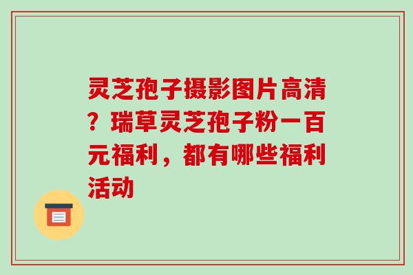 灵芝孢子摄影图片高清?瑞草灵芝孢子粉一百元福利,都有哪些福利活动