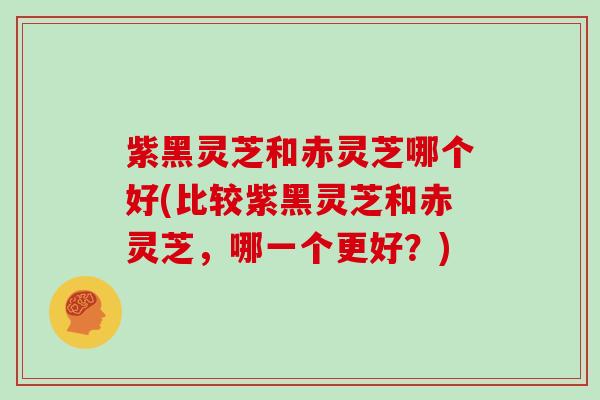 紫黑灵芝和赤灵芝哪个好(比较紫黑灵芝和赤灵芝，哪一个更好？)