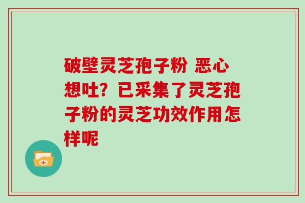 破壁灵芝孢子粉 恶心想吐?已采集了灵芝孢子粉的灵芝功效作用怎样呢