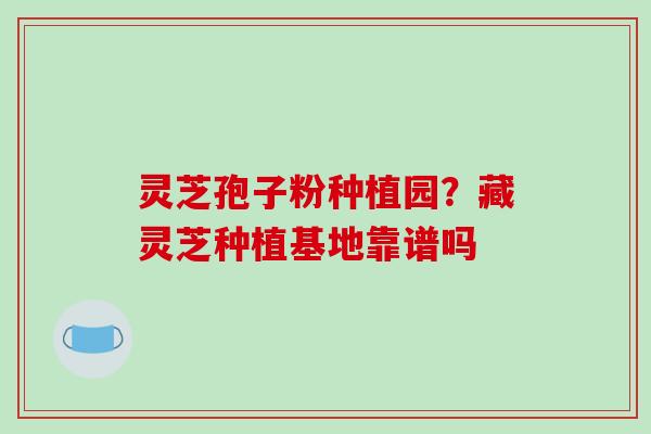 灵芝孢子粉种植园?藏灵芝种植基地靠谱吗