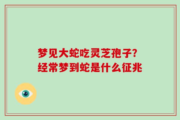 梦见大蛇吃灵芝孢子?经常梦到蛇是什么征兆