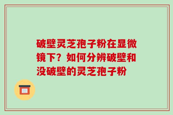 破壁灵芝孢子粉在显微镜下?如何分辨破壁和没破壁的灵芝孢子粉