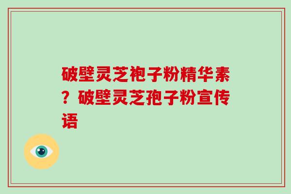 破壁灵芝袍子粉精华素？破壁灵芝孢子粉宣传语
