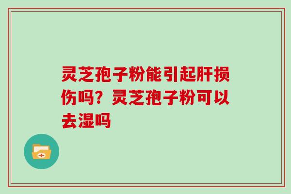 灵芝孢子粉能引起肝损伤吗?灵芝孢子粉可以去湿吗