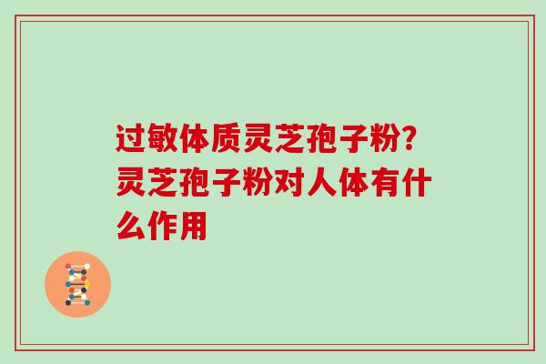 过敏体质灵芝孢子粉?灵芝孢子粉对人体有什么作用