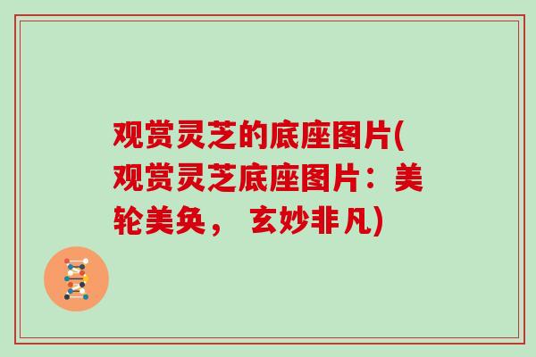 观赏灵芝的底座图片(观赏灵芝底座图片：美轮美奂， 玄妙非凡)