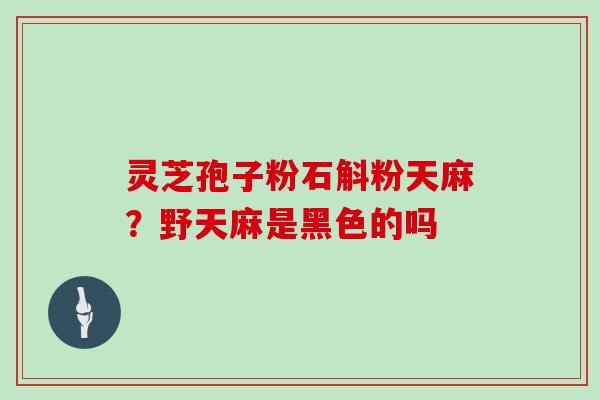 灵芝孢子粉石斛粉天麻？野天麻是黑色的吗