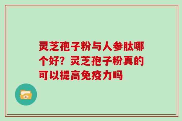 灵芝孢子粉与人参肽哪个好?灵芝孢子粉真的可以提高免疫力吗
