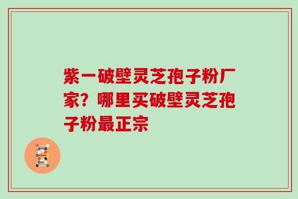 紫一破壁灵芝孢子粉厂家？哪里买破壁灵芝孢子粉最正宗