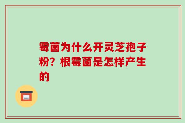 霉菌为什么开灵芝孢子粉?根霉菌是怎样产生的
