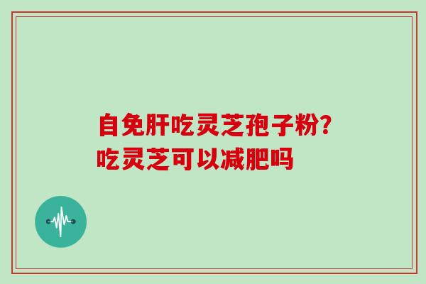 自免肝吃灵芝孢子粉?吃灵芝可以减肥吗