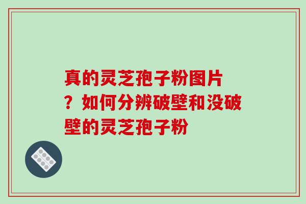 真的灵芝孢子粉图片 ?如何分辨破壁和没破壁的灵芝孢子粉