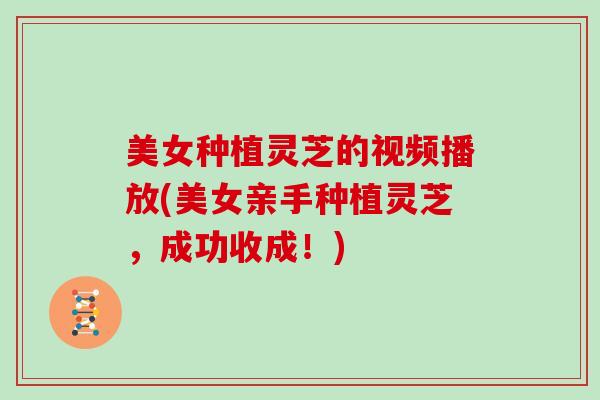 美女种植灵芝的视频播放(美女亲手种植灵芝,成功收成!)