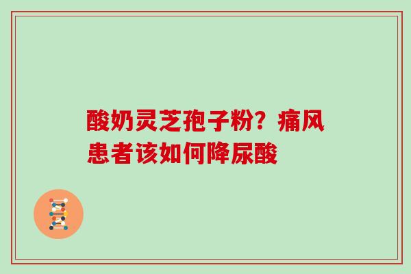 酸奶灵芝孢子粉？痛风患者该如何降尿酸