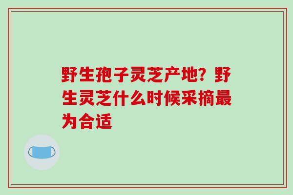 野生孢子灵芝产地?野生灵芝什么时候采摘最为合适