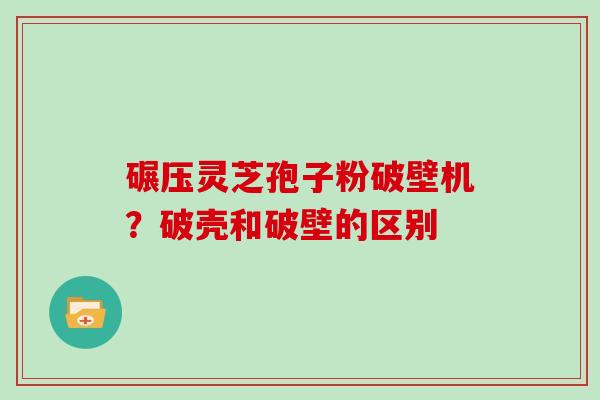 碾压灵芝孢子粉破壁机？破壳和破壁的区别
