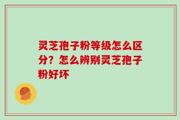 灵芝孢子粉等级怎么区分?怎么辨别灵芝孢子粉好坏